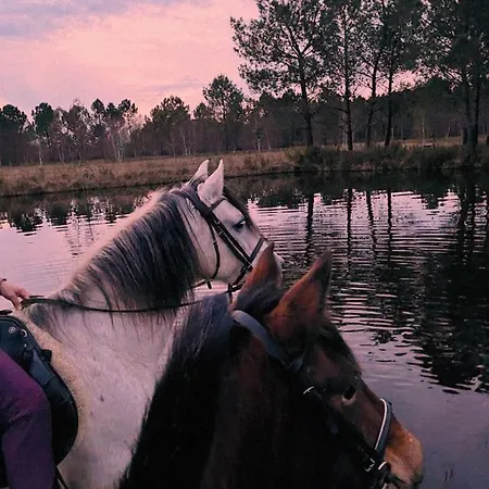 Camping Atlantic Horses Mobilhome